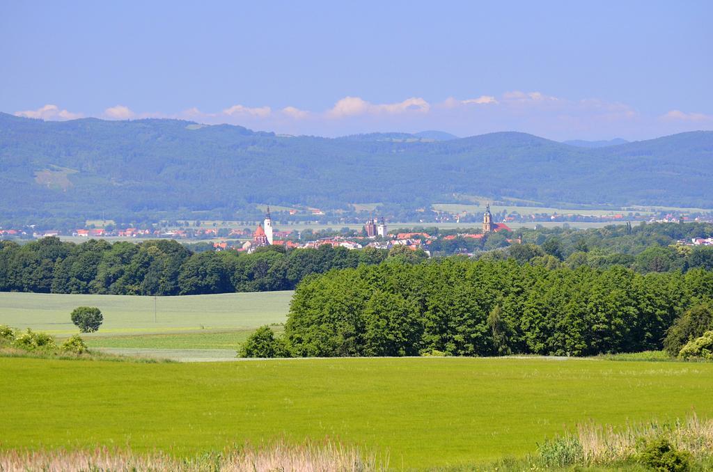 Apartament Dzierzoniow Lägenhet Rum bild